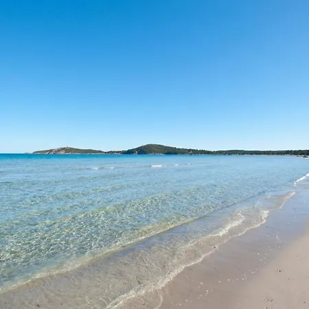 T3 Confort A 5 Mn Des Plages De Pinarello Pinarellu