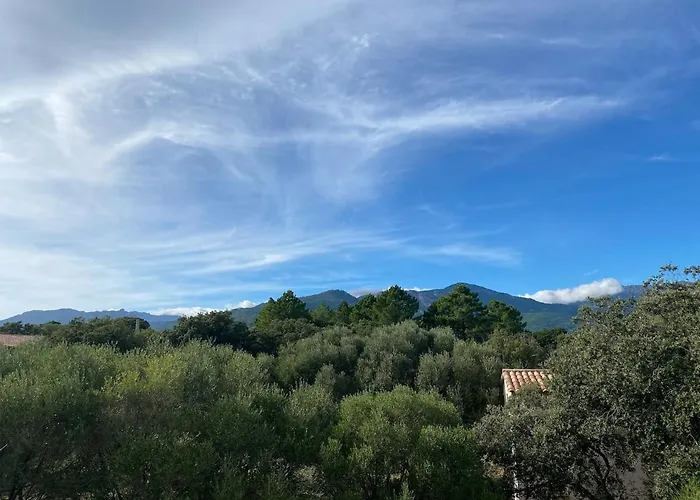 T3 Confort A 5 Mn Des Plages De Pinarello * Pinarellu