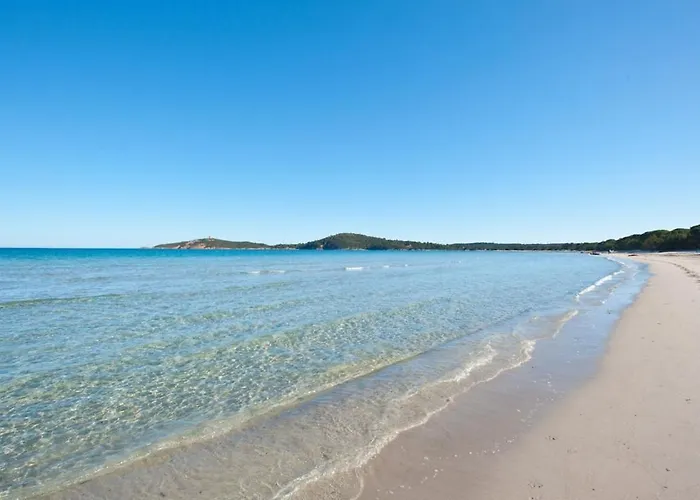 T3 Confort A 5 Mn Des Plages De Pinarello Pinarellu